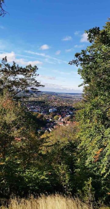 Ferienwohnung Am Burgberg In Bad Harzburg Zewnętrze zdjęcie